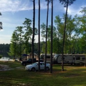 Morning at Lake Upchurch, NC