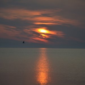 Various stages of sunrise on Lake Huron on Friday, July 10, 2015