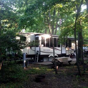 Cape May NJ - amongst the trees