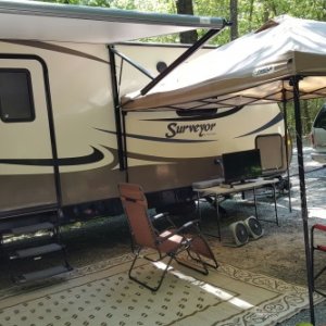 Jordan Lake Canopy