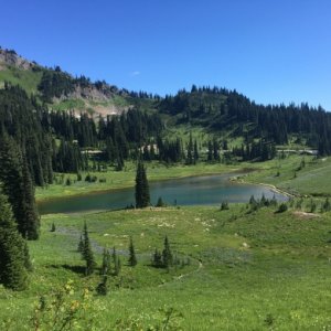 Mount Rainier Park, WA