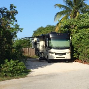 View of site! Nice private and wonderful campground host and park rangers. When I told them I didn't bring a toad, they said if I needed to go somewhe