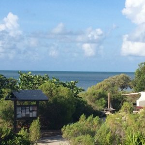 View from Ladder on RV