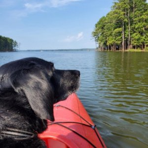 Nikki likes going for a paddle