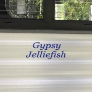 Gypsy Jeffliefish (2)