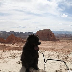 Diego - Lower South Desert Overlook