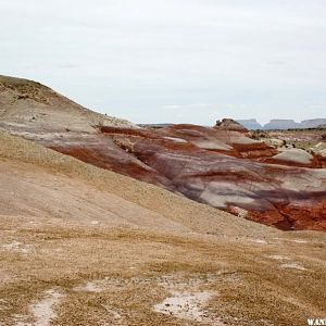 In the Bentonite Hills