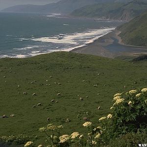 Mattole River reaches the ocean