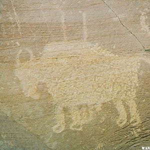 Nine Mile Canyon Petroglyph - Ute Buffalo