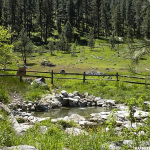 Atlanta Hot Springs