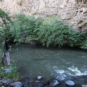 Home Skillet trying his luck at Succor Creek