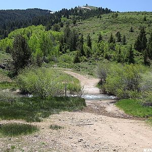 Great dispersal camping on the road to Silver City