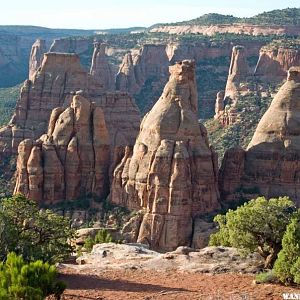 Canyon Rim View