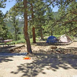 Moraine Park Campground--RMNP