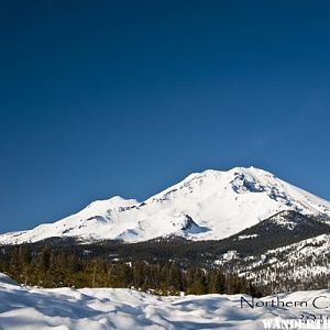 Mt. Shasta in Winter