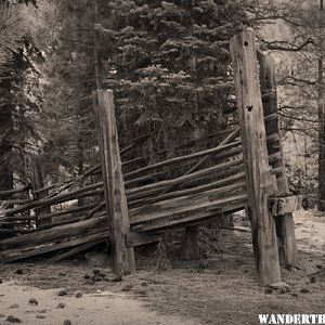 Lassen National Forest near Eagle Lake