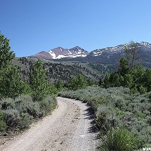 Green Creek Road - Eastern Sierra