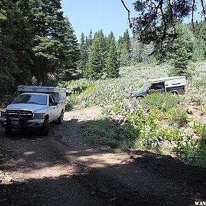 Lake City Canyon - Warner Mountains