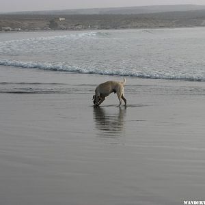 Rinsing Off