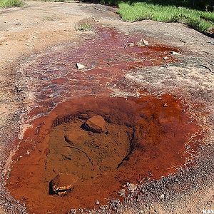 Mineral Spring - Highgrade Trail