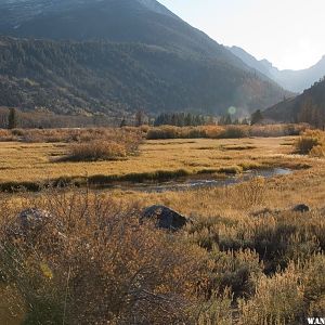 Green Creek in the eastern Sierra