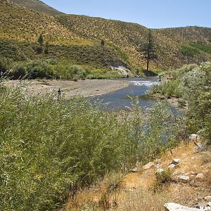 Chris Flat Campground