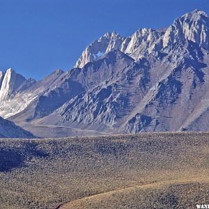 Mt Morrison from 395