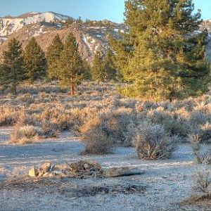 Mono Craters Camp View