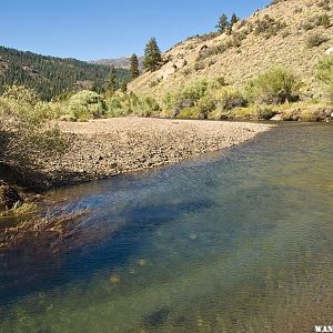 Leavitt Meadows