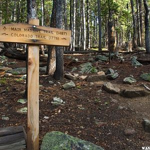 Mount Massive Trail