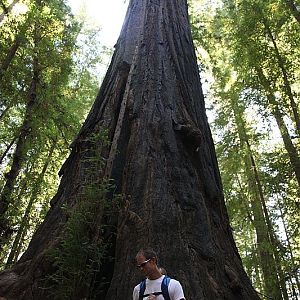 Gould Grove Nature Trail