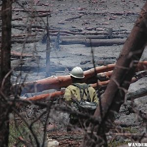 Red Creek fire, June 2010