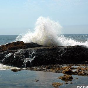 Cape Perpetua