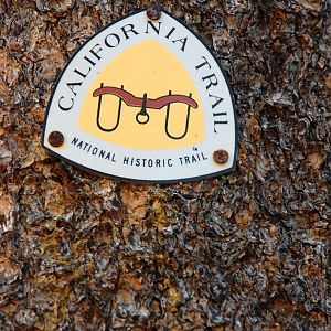 Carson Route of the California Trail