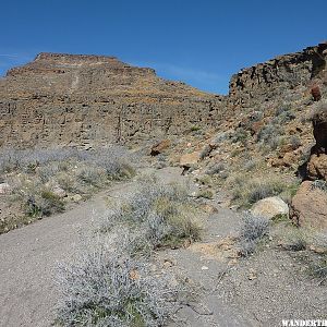 Along the Rings Loop Trail