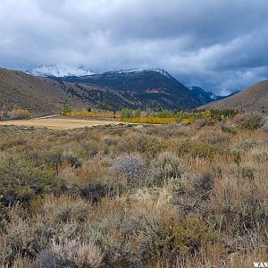 Green Creek Road