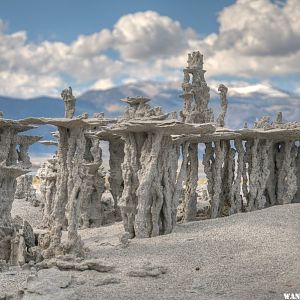 Mono Lake South Shore Tufa