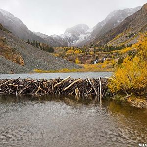 East Side Fall Trip (18 of 8).jpg