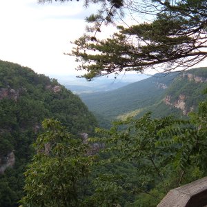 Cloudland Canyon View 2