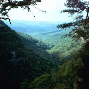 Cloudland Canyon View 3