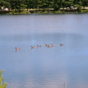 Island Resort Campground, Berlin MD