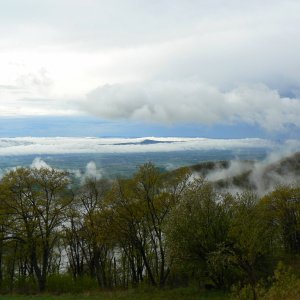 Shenandoah Ntional Park