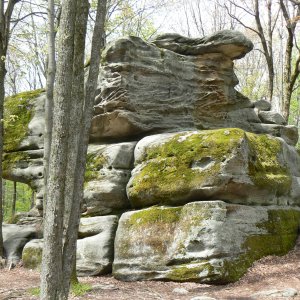 Allegany State Park