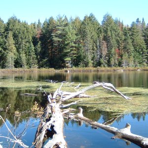 Hiking Trail Algonquin Prov Park