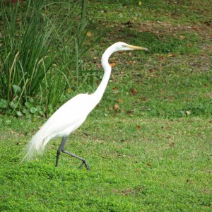 Florida_2010-16