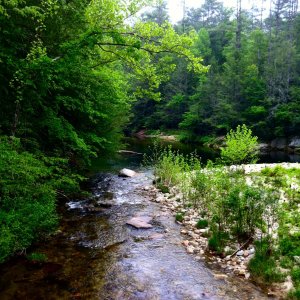 Wilson Creek - NC