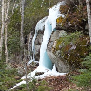 Algonquin Park Apr '11