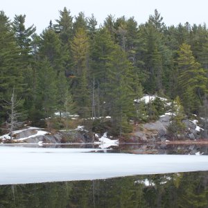 Algonquin Park Apr '11