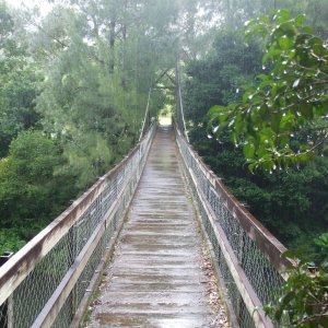 Kangaroo River Suspension Bridge