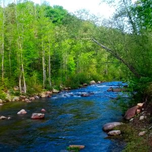 Wilson Creek in North Carolina